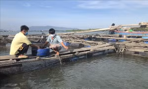 Kiện toàn bộ máy hành chính, tận dụng hiệu quả nguồn lực sẵn có tại xã đảo Long Sơn