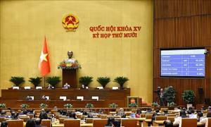 Chuyển đổi số trong cấp phiếu lý lịch tư pháp