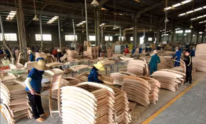 Nhiều giải pháp đạt mục tiêu 11 tỷ USD kim ngạch xuất khẩu lâm sản  