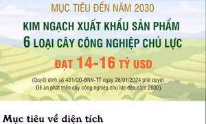 Mục tiêu kim ngạch xuất khẩu sản phẩm 6 loại cây công nghiệp chủ lực đạt 14-16 tỷ USD