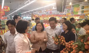 Xúc tiến tiêu thụ vải thiều Thanh Hà tại các siêu thị 