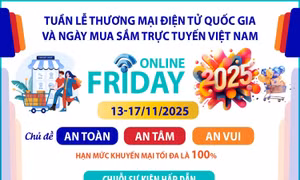 Tuần lễ Thương mại điện tử quốc gia và Ngày mua sắm trực tuyến Việt Nam 