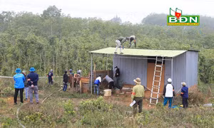 Đắk Nông: Xử lý nghiêm các trường hợp lấn chiếm đất rừng ven Quốc lộ 28
