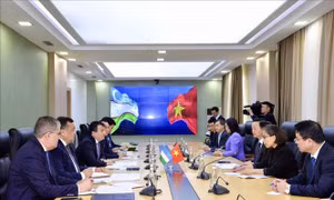 Phó Thủ tướng Trần Hồng Hà gặp Phó Thủ tướng Uzbekistan 