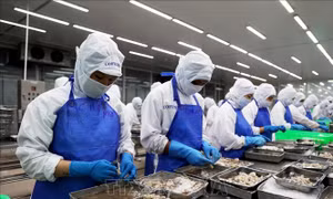 Lao động trẻ và xu hướng mới của thị trường lao động - Bài cuối: Xây dựng nguồn nhân lực trong giai đoạn mới