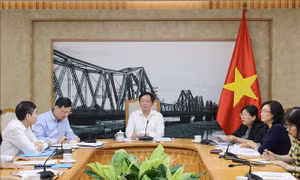 Khẩn trương giải quyết dứt điểm vướng mắc thu hồi đất của Tổng Công ty Giấy Việt Nam