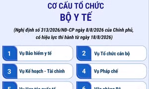 Cơ cấu tổ chức của Bộ Y tế