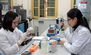 Thúc đẩy hợp tác đào tạo và nghiên cứu khoa học Việt Nam - Nam Phi