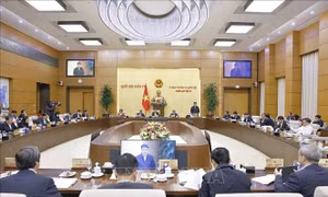 Thông cáo báo chí số 14, Kỳ họp thứ 10, Quốc hội khóa XV