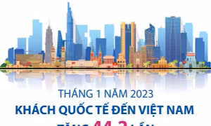 Việt Nam đón trên 871.000 lượt khách quốc tế trong tháng 1/2023