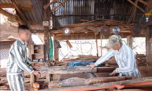 Mở lối hoàn lương cho những người lầm lỡ