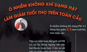 Ô nhiễm không khí dạng hạt làm giảm tuổi thọ trên toàn cầu
