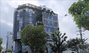 Đà Nẵng: Công ty GFDI có dấu hiệu lừa đảo hơn 7.500 khách hàng