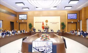 Từ ngày 1/1/2022, thuế bảo vệ môi trường đối với nhiên liệu bay là 1.500 đồng/lít