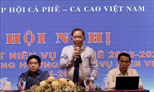 Xuất khẩu cà phê niên vụ 2023 - 2024 lập kỷ lục 5,43 tỷ USD