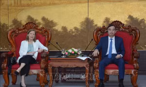 Đà Nẵng tăng cường hợp tác với USAID trên các lĩnh vực