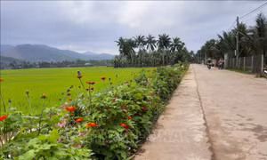 Bình Định: Huyện Phù Mỹ đạt chuẩn nông thôn mới