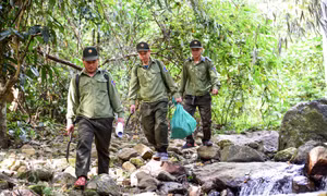 Quyết liệt triển khai các giải pháp phòng, chống cháy rừng