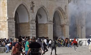 Liên hợp quốc quan ngại sâu sắc về bạo lực leo thang giữa Israel và Palestine