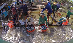 Bộ trưởng Lê Minh Hoan: Cà Mau, An Giang, Đồng Tháp cần tăng tốc triển khai các chương trình đã phê duyệt