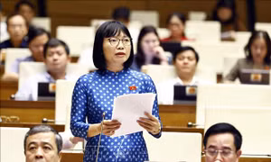 Kỳ họp thứ 8, Quốc hội khóa XV: Tránh việc tu bổ trở thành 'làm mới' di tích