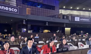Việt Nam mong muốn thúc đẩy các ngành công nghiệp văn hóa