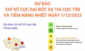 Dự báo chỉ số cực đại bức xạ tia cực tím và tiềm năng nhiệt ngày 7/12/2023