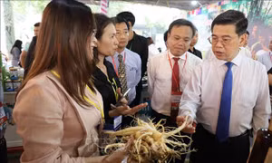 Khai mạc Chương trình 'Tinh hoa làng nghề và đặc sản vùng miền' 