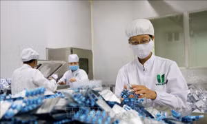 Long An: Phát triển các sản phẩm y học cổ truyền công nghệ cao