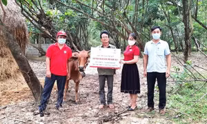 Hỗ trợ sinh kế, phát triển sản xuất cho nạn nhân bom mìn năm 2021 