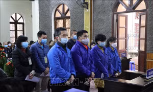 Xét xử sơ thẩm vụ án sai phạm trong đấu thầu thiết bị tại Sở Y tế tỉnh Sơn La