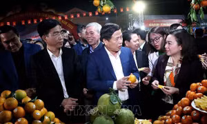 Khai mạc Lễ hội cam Cao Phong và hội chợ triển lãm sản phẩm đặc trưng