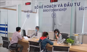 Chính phủ ban hành Chương trình tổng thể cải cách hành chính Nhà nước giai đoạn 2021-2030