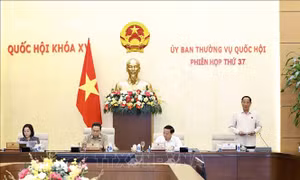 Đề xuất giảm thuế thu nhập cho cơ quan báo điện tử, truyền hình, phát thanh