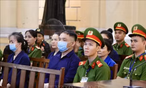 Xét xử vụ án Vạn Thịnh Phát giai đoạn 2: Nhiều bị cáo hối hận, thừa nhận sai phạm