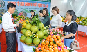 Sắp diễn ra Lễ hội trái cây Bắc Ninh năm 2025