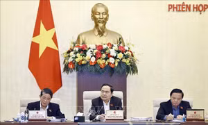 Giám sát trực tiếp tại 15 địa phương về thực hiện chính sách bảo vệ môi trường