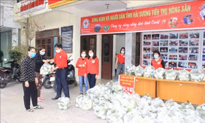 Ninh Bình hỗ trợ tiêu thụ nông sản giúp nông dân Hải Dương 