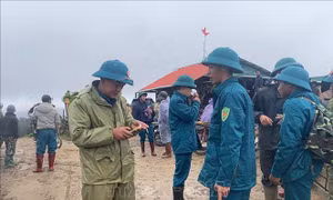 Cụ ông 78 tuổi mất tích khi đi hái nấm trong rừng
