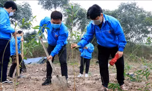 Tháng Thanh niên: Tuổi trẻ Bắc Ninh triển khai nhiều việc làm ý nghĩa