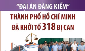 Thành phố Hồ Chí Minh: Đã khởi tố 318 bị can ở 'Đại án đăng kiểm'