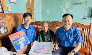 Hoạt động ý nghĩa trong cao điểm Chiến dịch tình nguyện 'Mùa hè xanh'