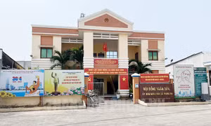 Hoàn thành ngầm hóa lưới điện xã đảo Thạnh An