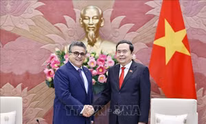 Thúc đẩy quan hệ truyền thống, hợp tác hữu nghị giữa Việt Nam và Palestine