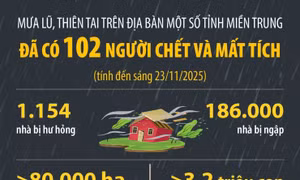 Đã có 102 người chết và mất tích (tính đến sáng 23/11/2025) trong mưa lũ