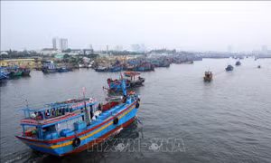 Quảng Trị cấm tàu thuyền ra khơi từ sáng 17/9
