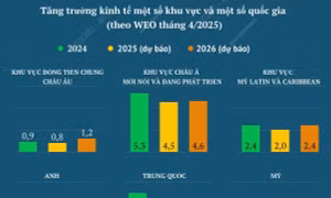 IMF hạ dự báo tăng trưởng toàn cầu