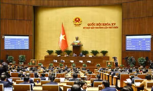 Thông qua Luật Tổ chức Chính phủ (sửa đổi)