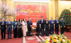 Lãnh đạo Đảng, Quốc hội thăm và chúc Tết tại Ninh Bình, Vĩnh Long