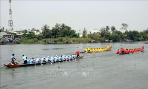 Hàng ngàn người cổ vũ giải đua thuyền trên sông Tam Kỳ, Quảng Nam